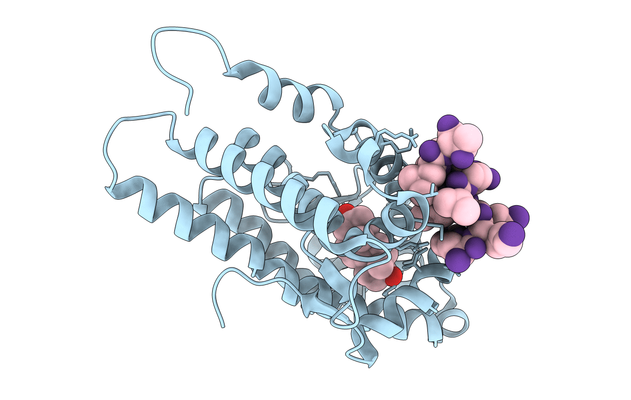 1XJ7 image