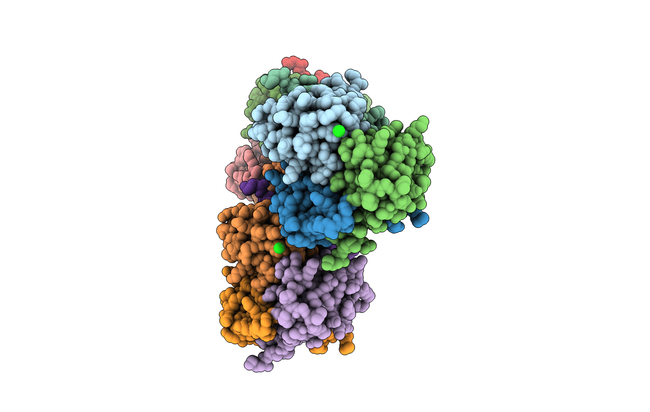 1XK4 image