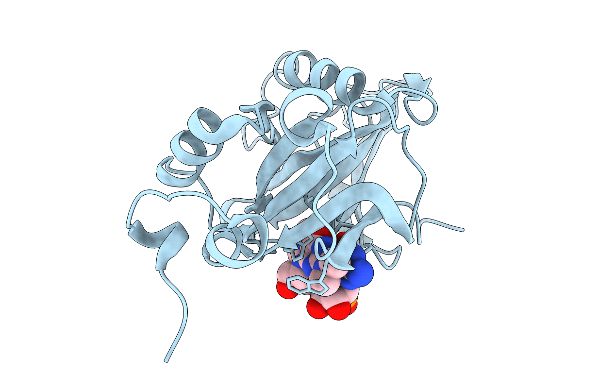 1XK5 image