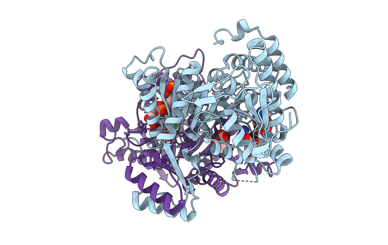1XKD image