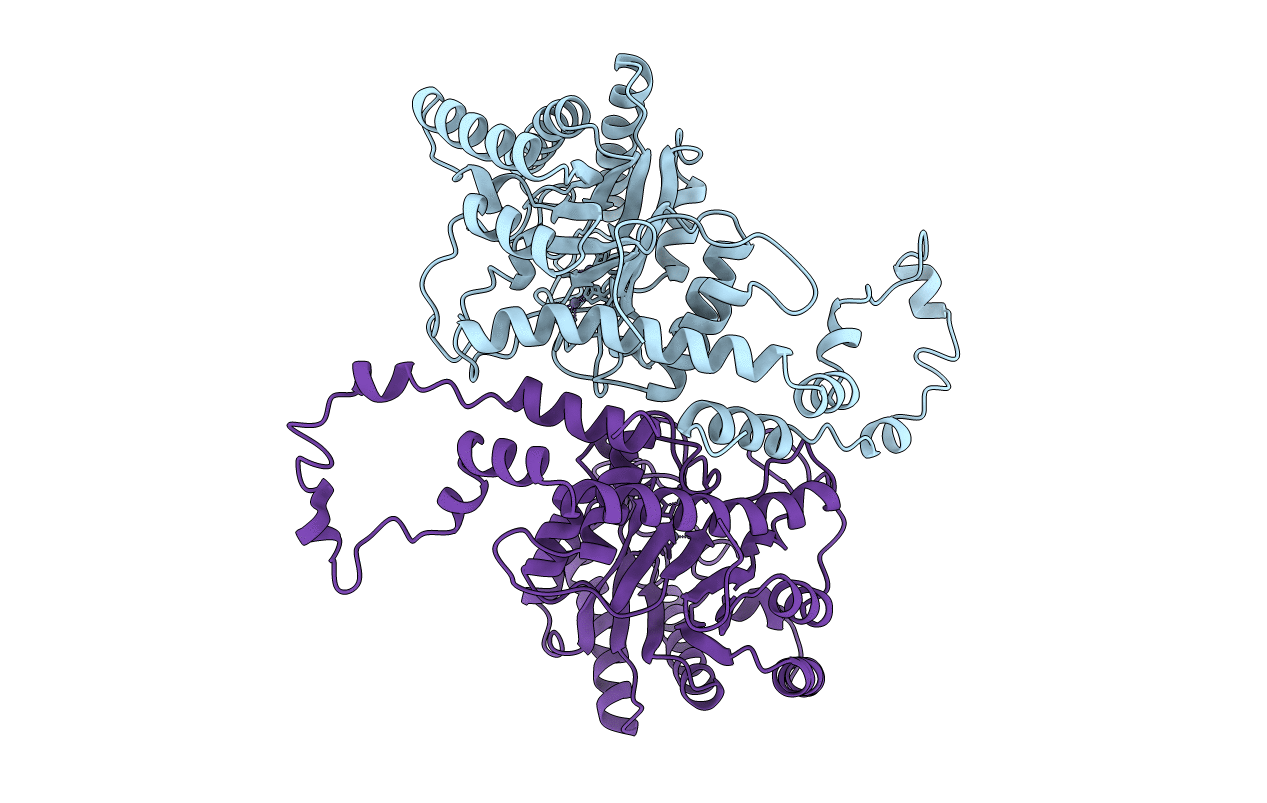 1XLL image