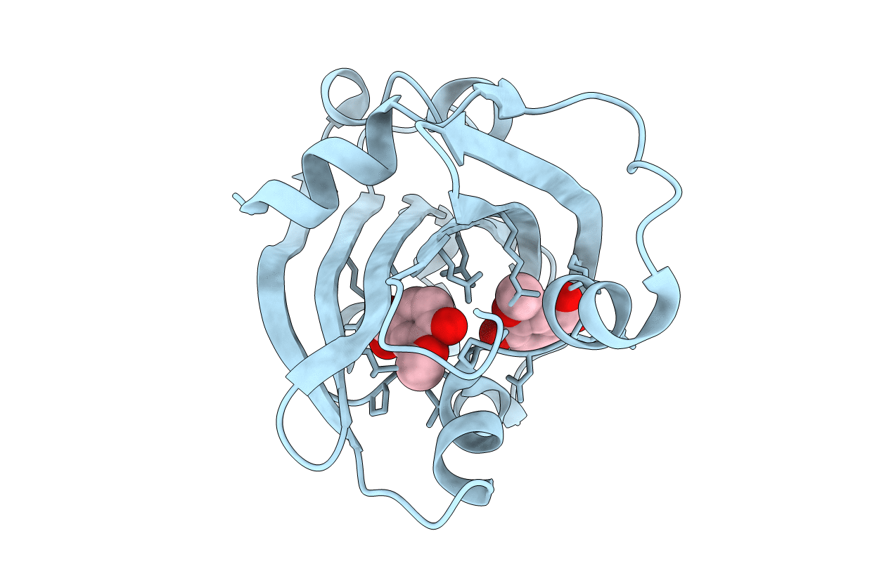 1XLR image