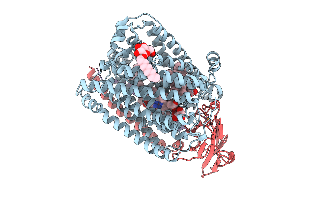 1XME image