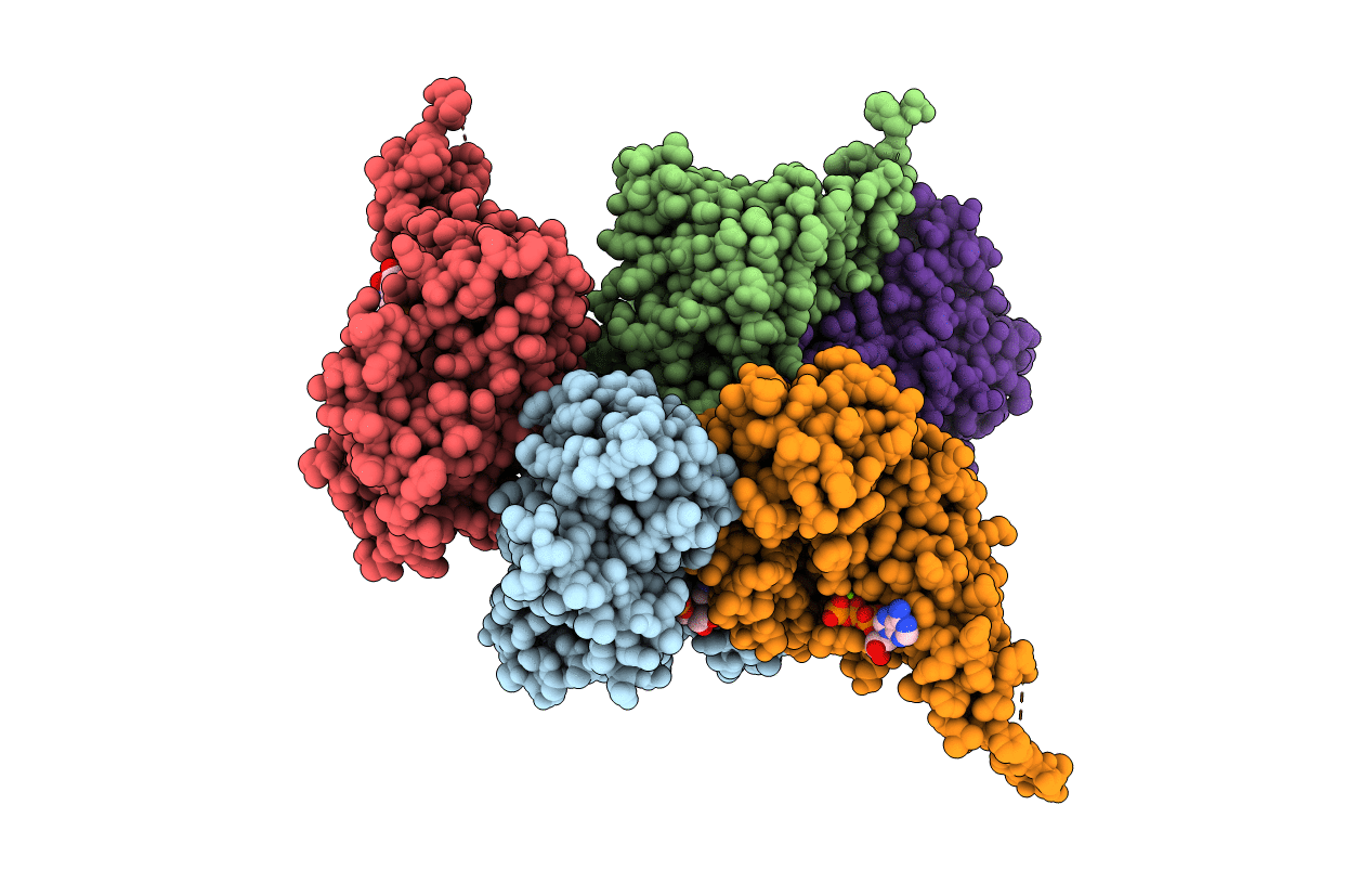 1XMI image