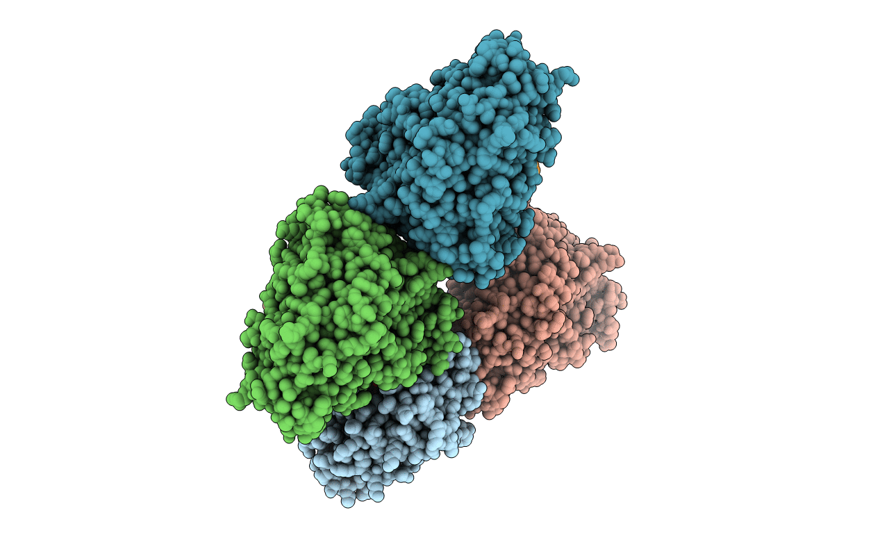 1XN2 image