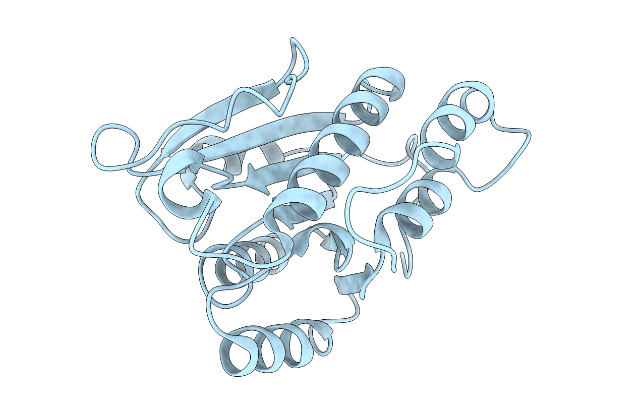 1XN4 image