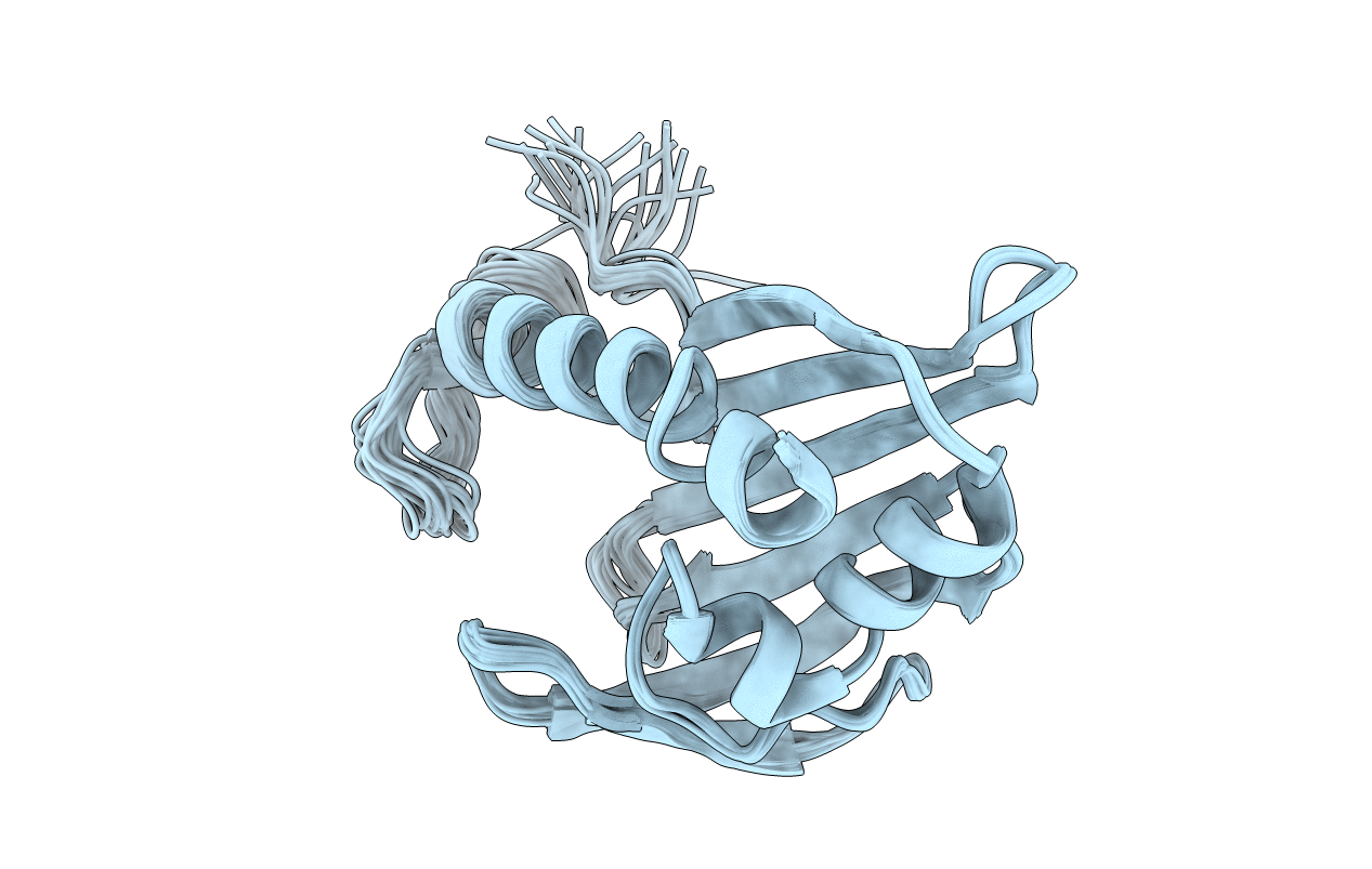 1XN5 image