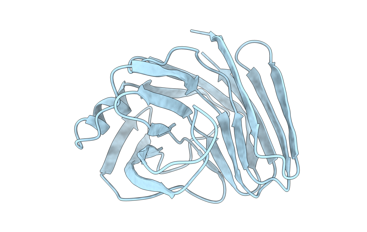 1XNC image
