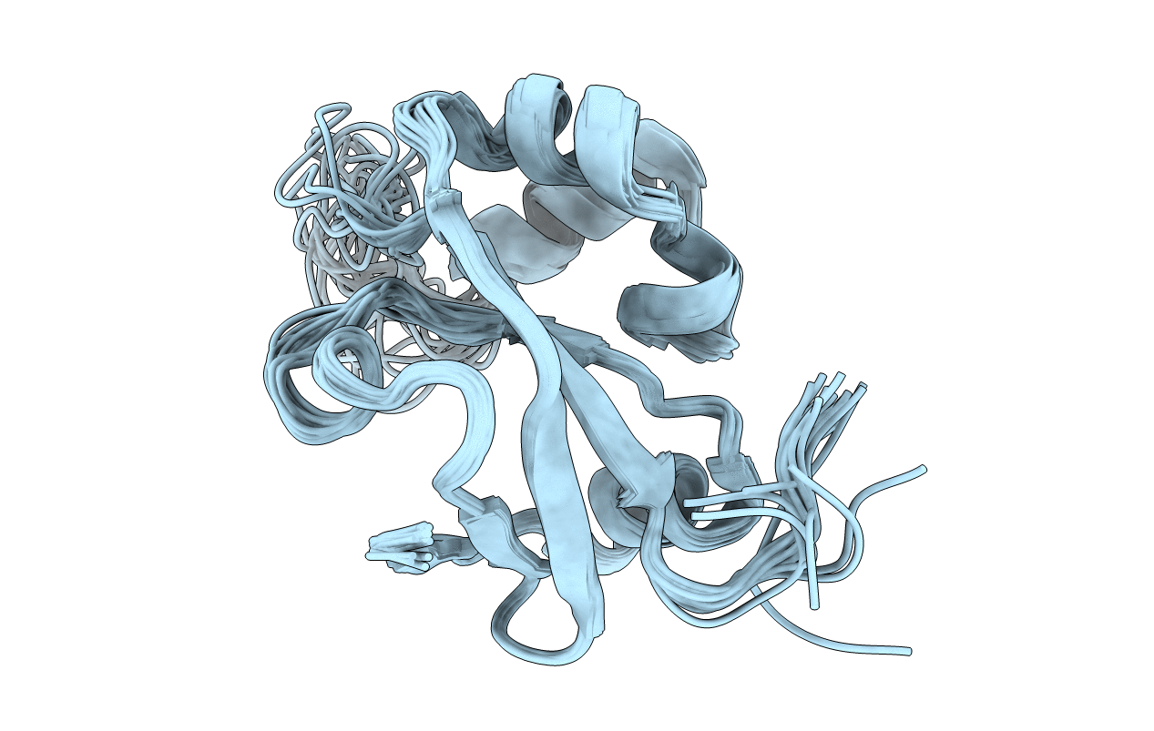 1XNE image