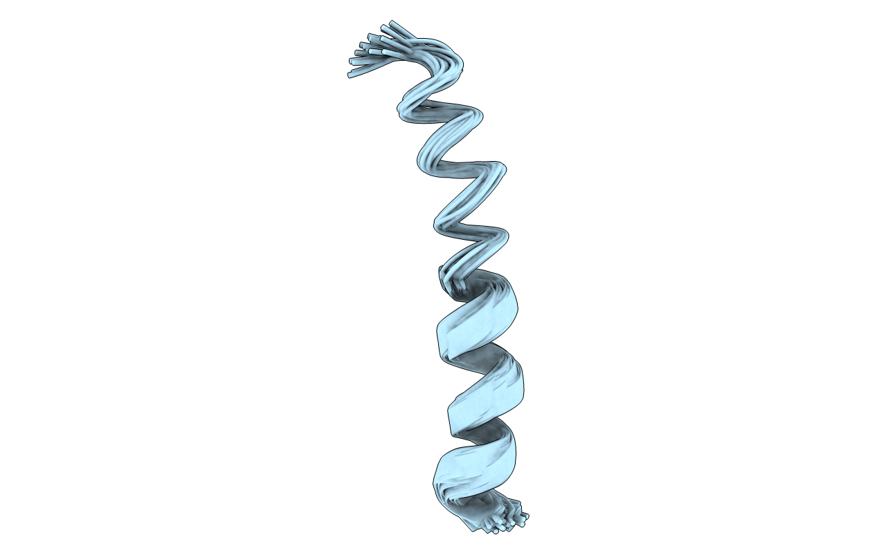 1XNL image