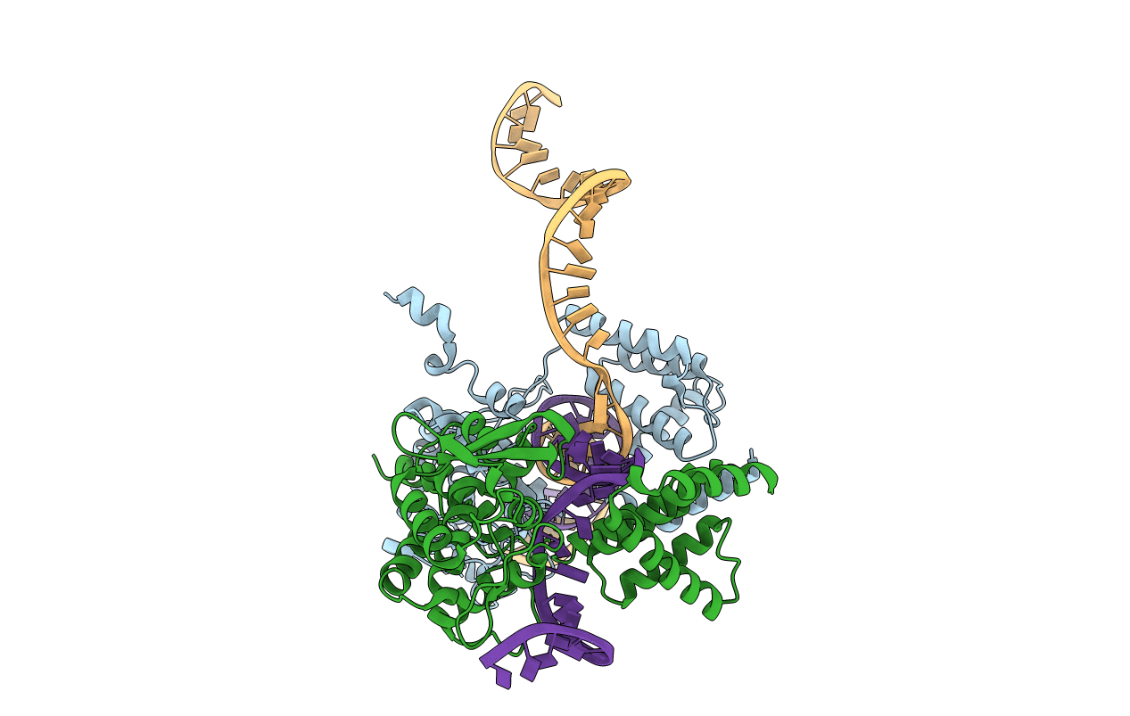 1XNS image