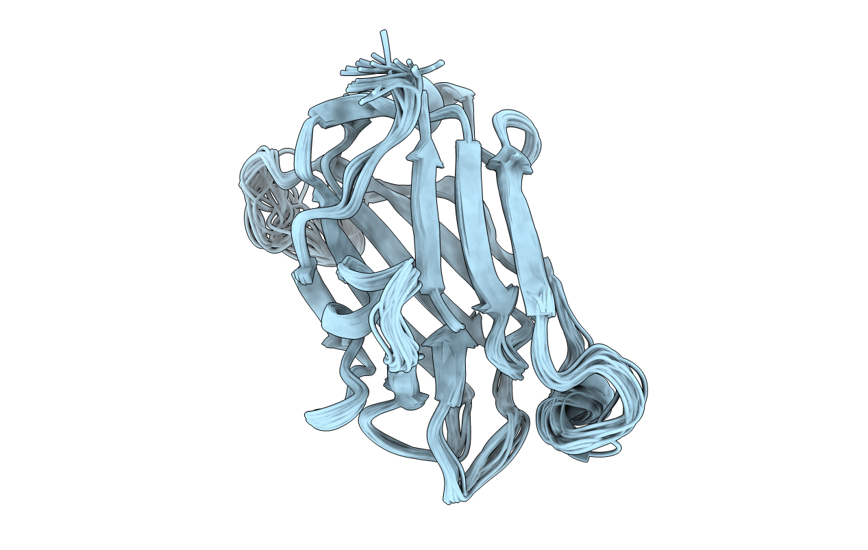 1XNT image