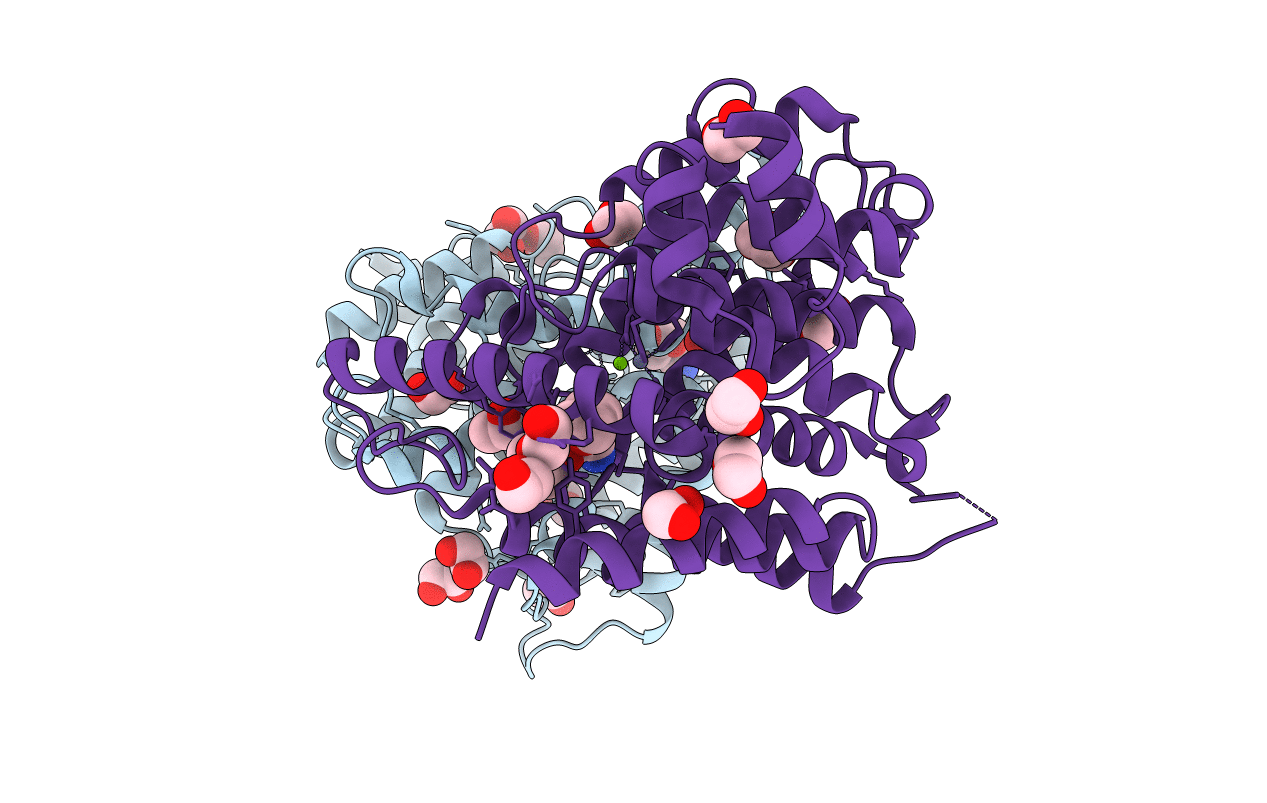 1XOM image