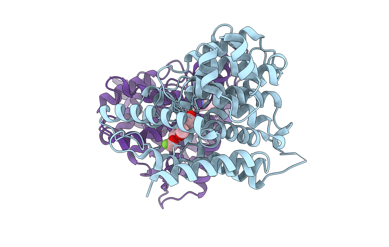 1XOR image