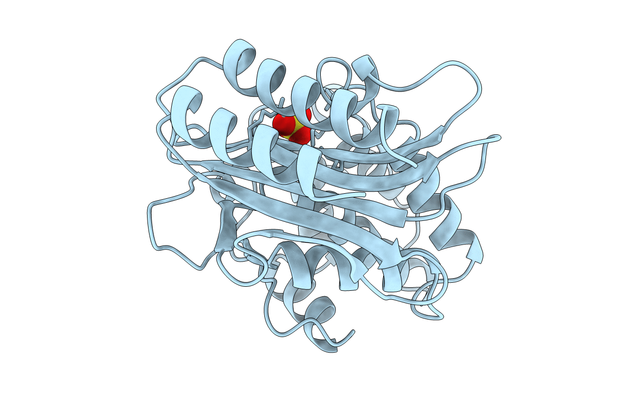 1XPB image