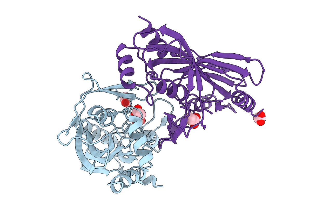 1XPI image