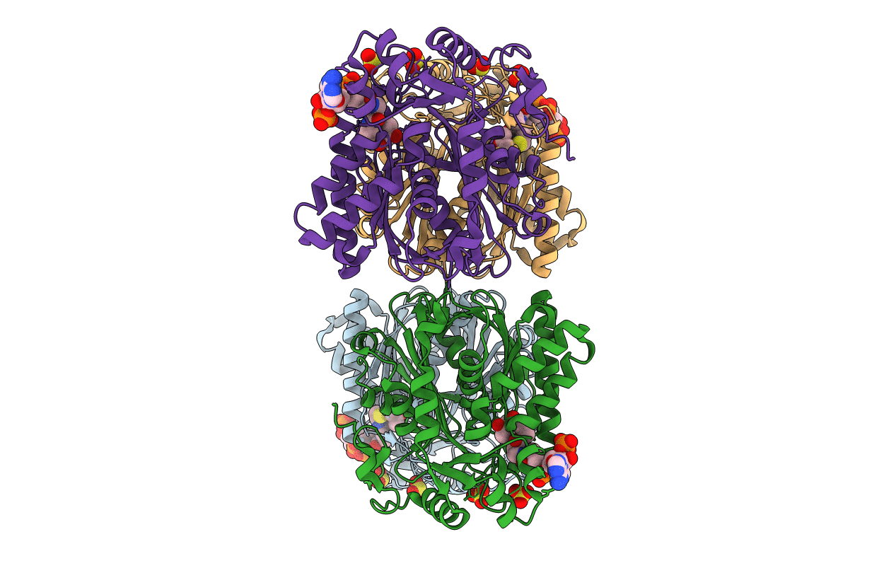 1XPL image