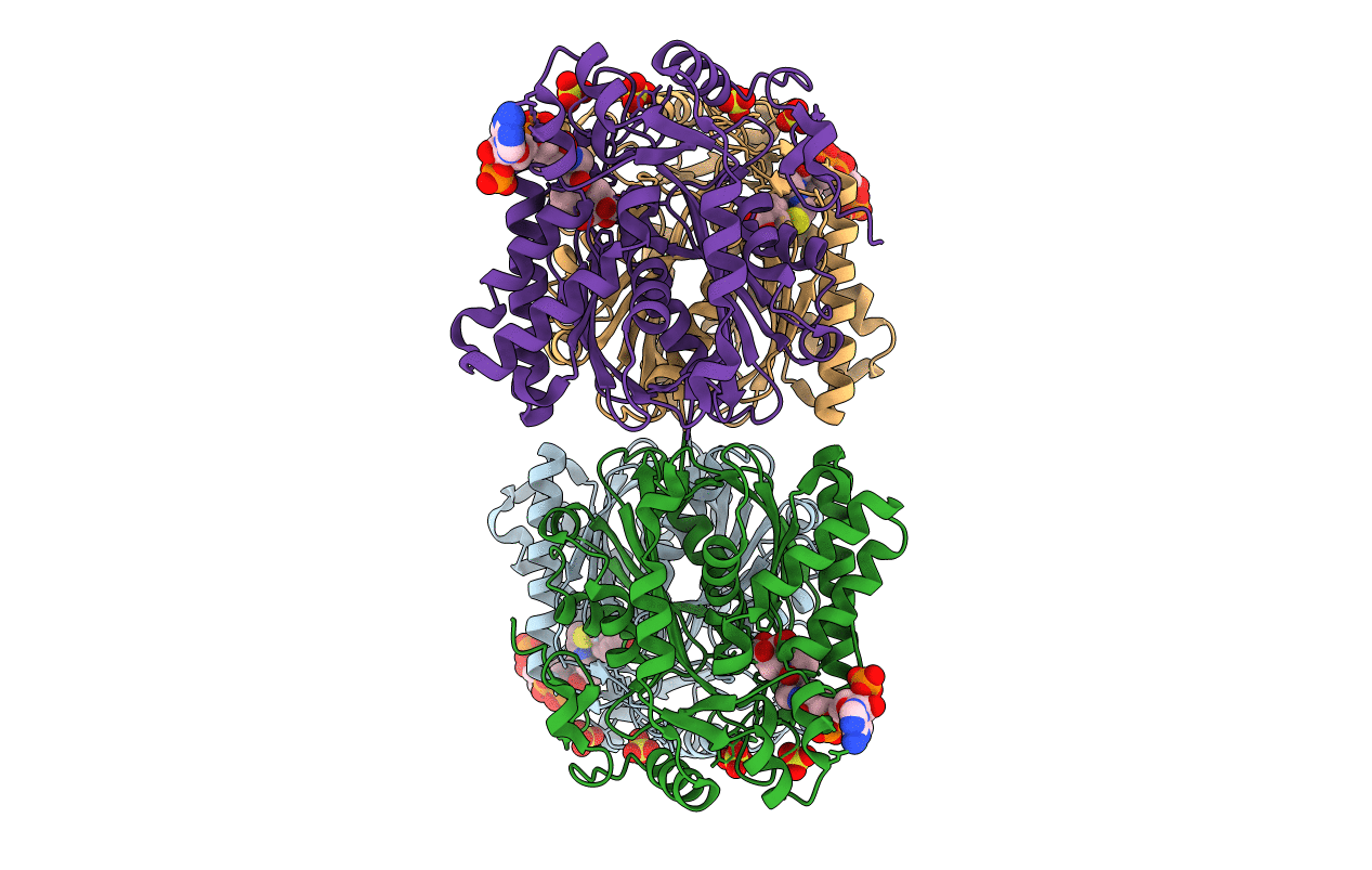 1XPM image