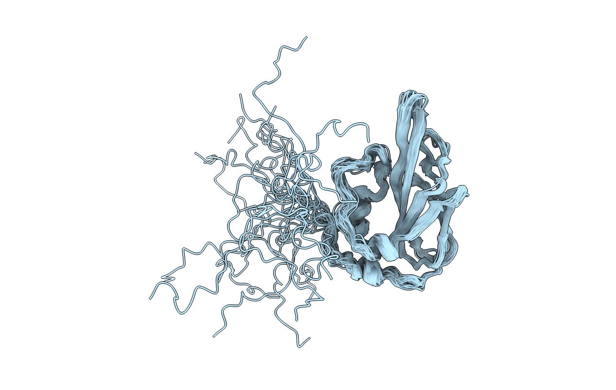 1XPN image