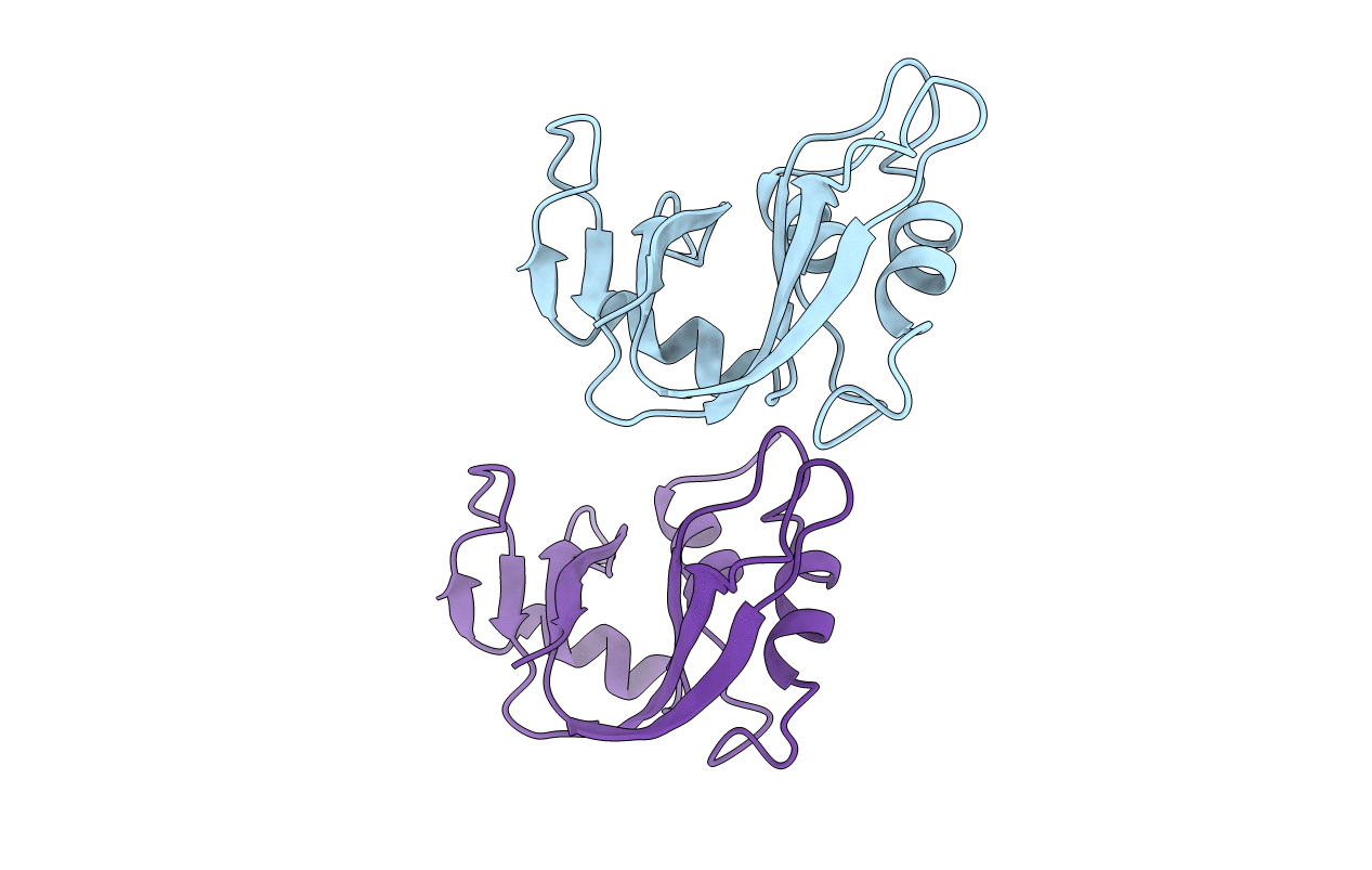 1XPS image