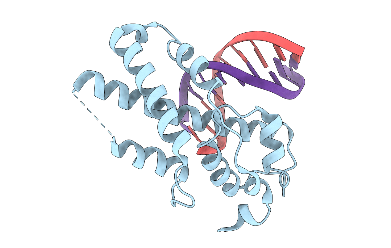 1XPX image