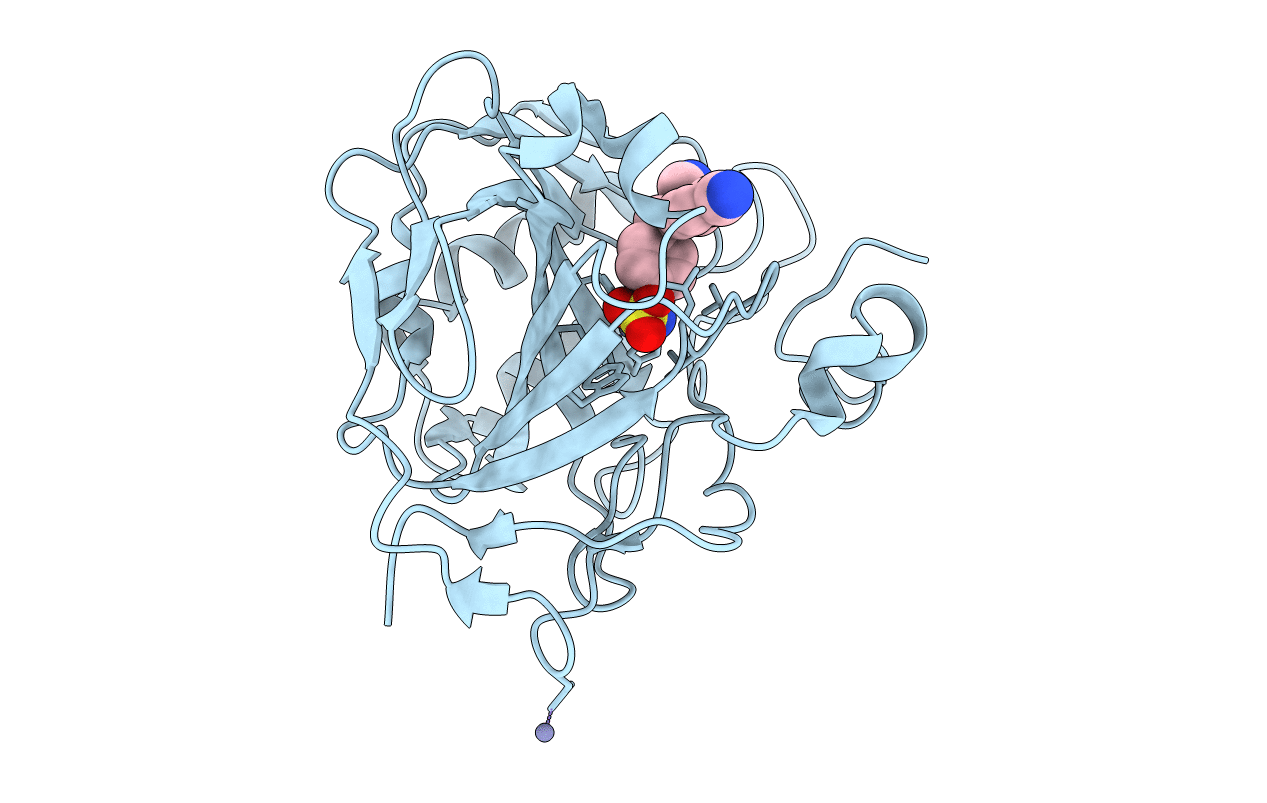 1XPZ image