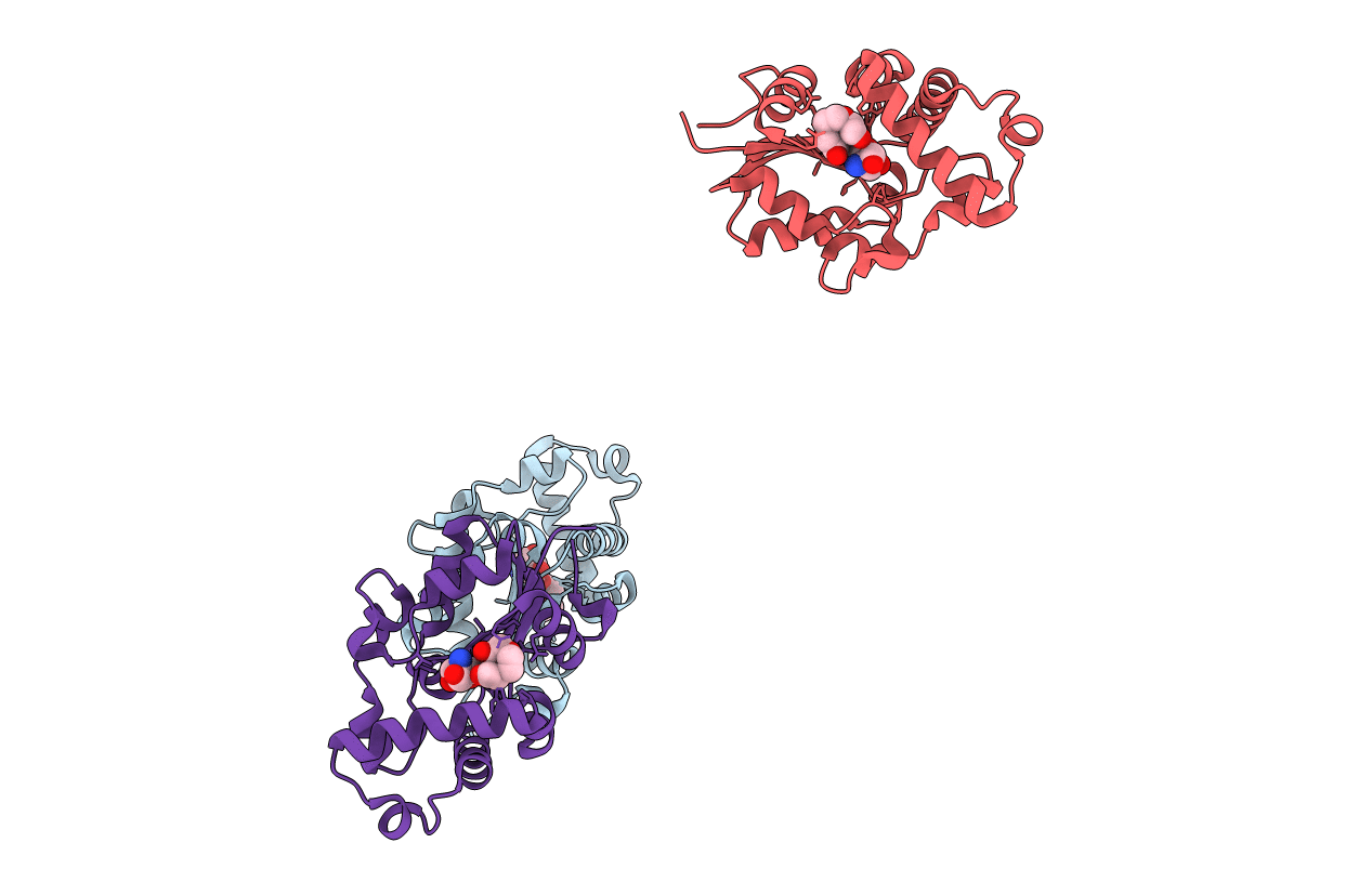 1XQI image