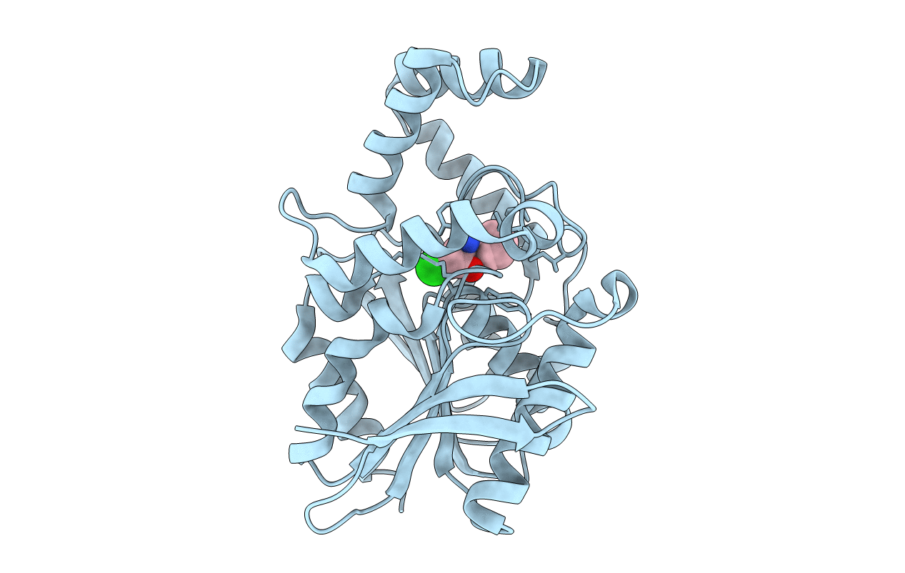 1XQX image