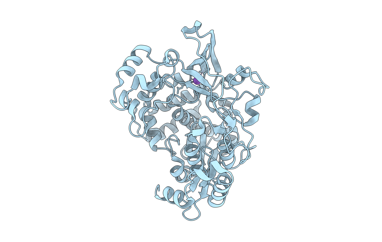 1XR6 image