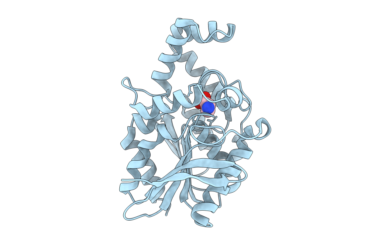 1XRN image