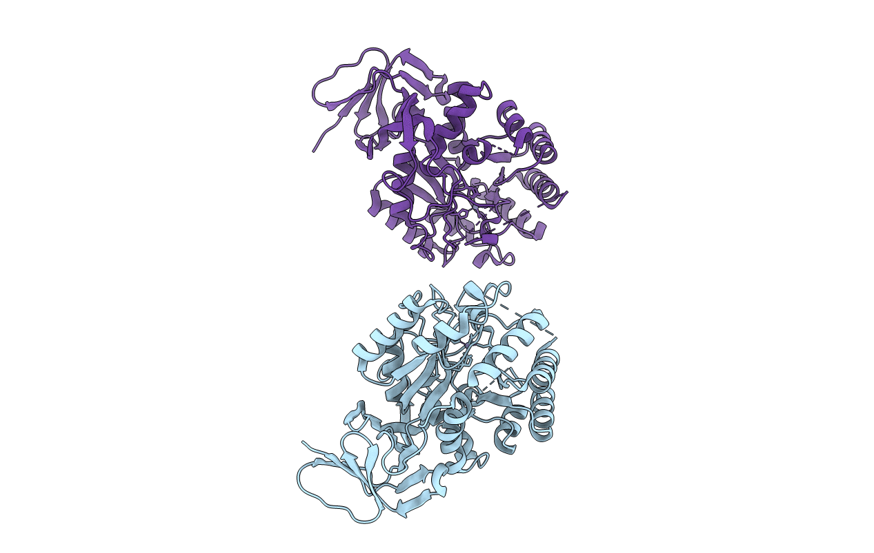 1XRT image