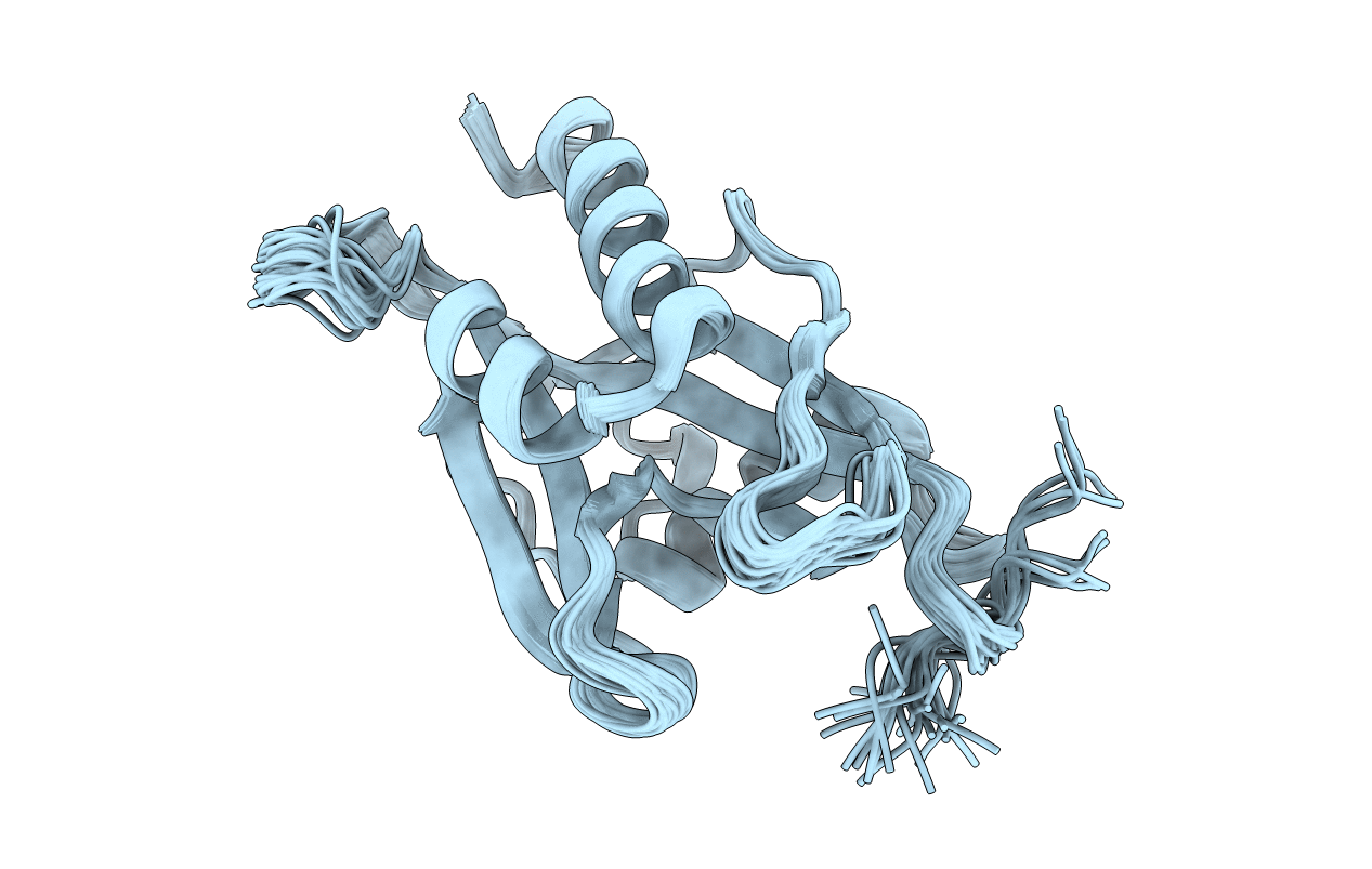 1XSA image