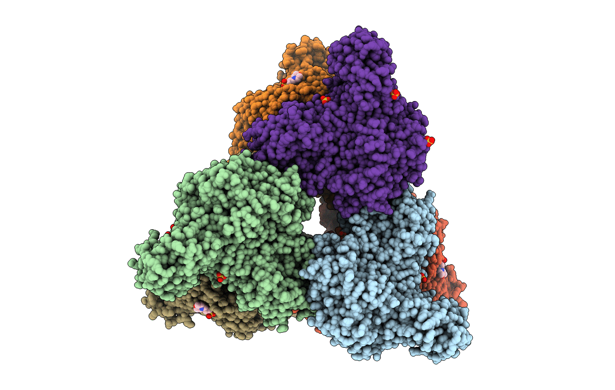 1XSI image