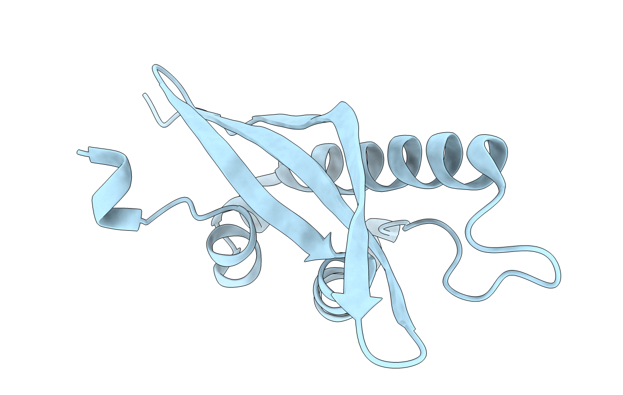 1XTE image