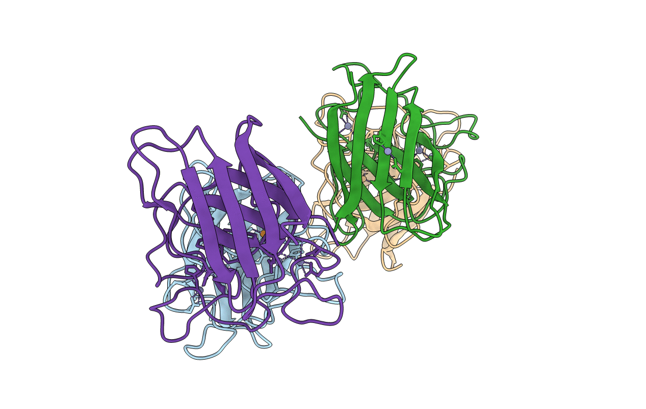 1XTL image