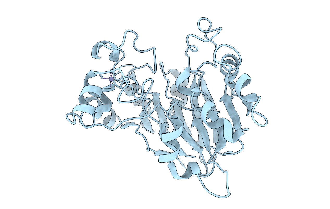 1xto image