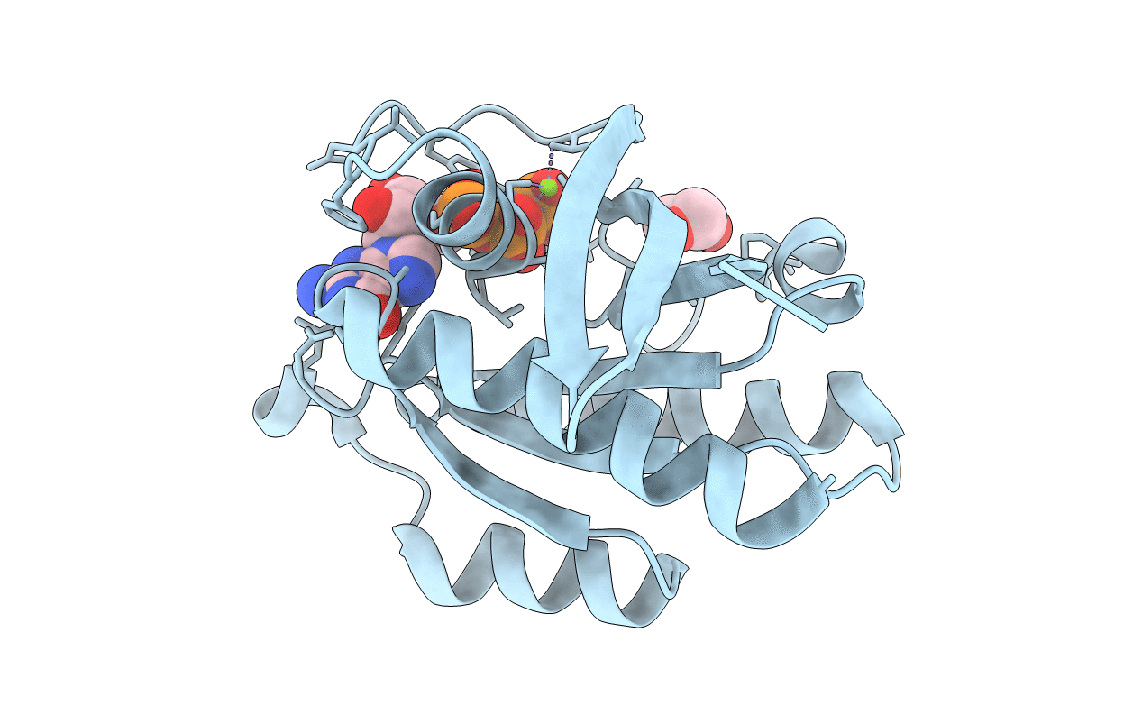 1XTR image