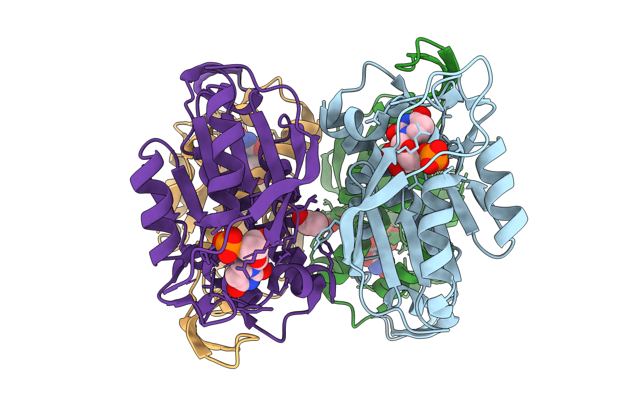1XTT image