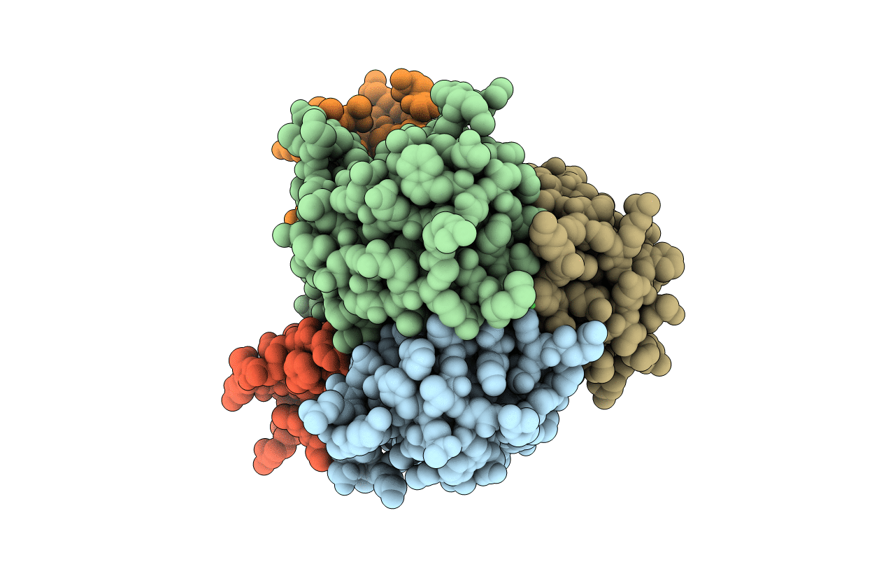 1XU2 image