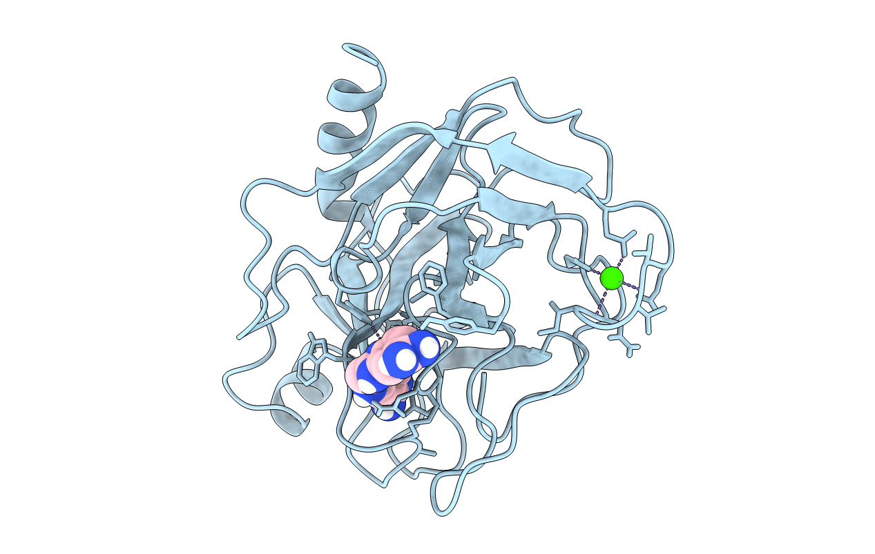 1XUG image