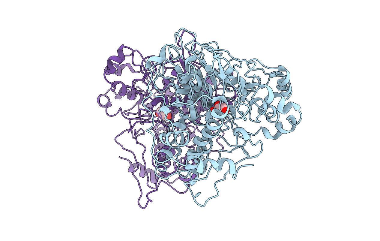 1XUP image