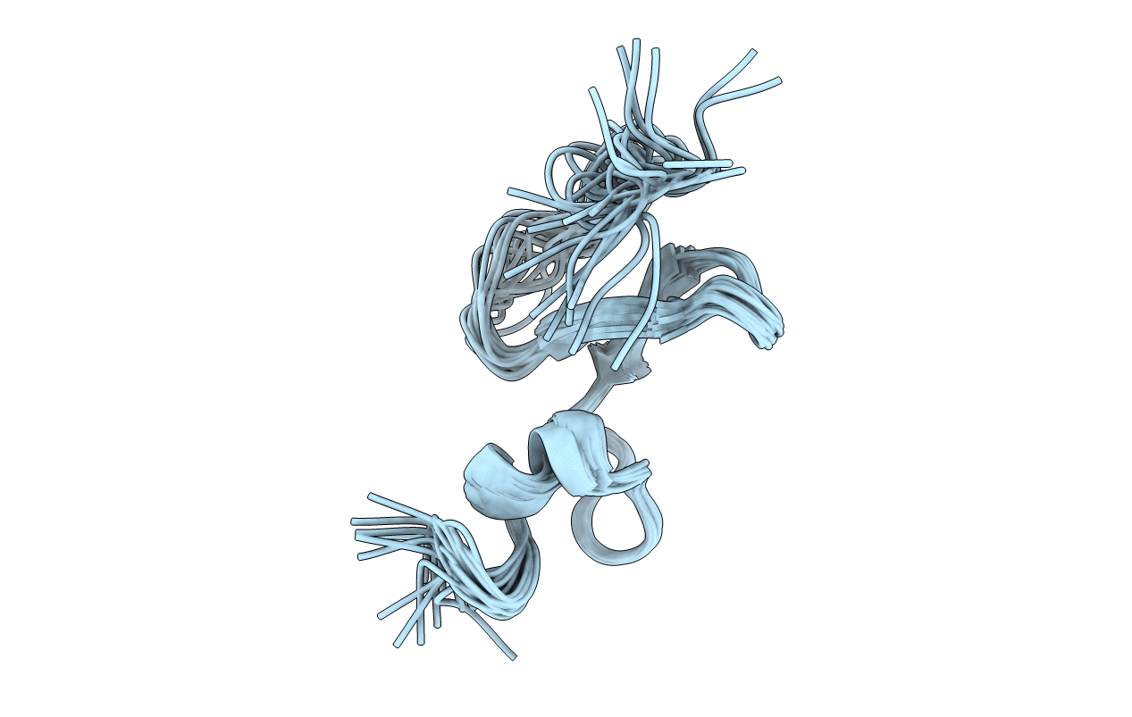 1XUT image