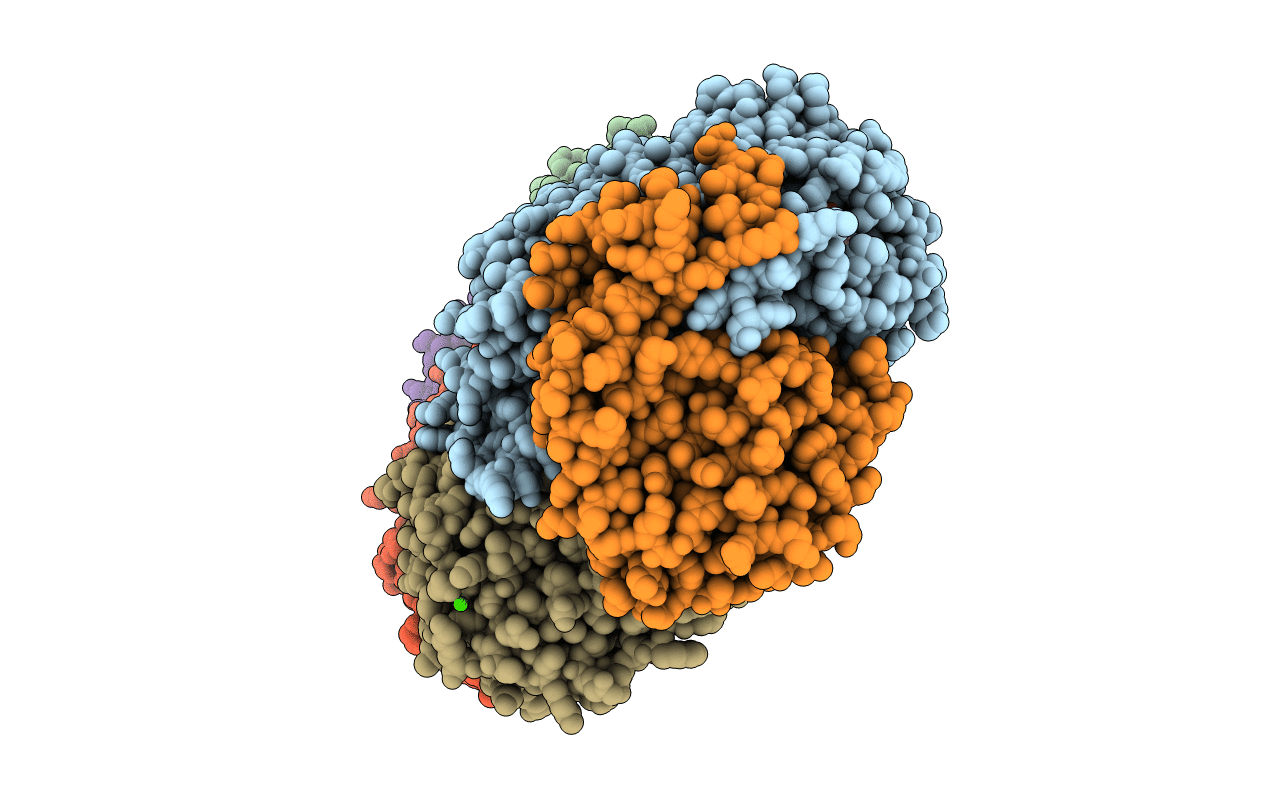 1XVB image