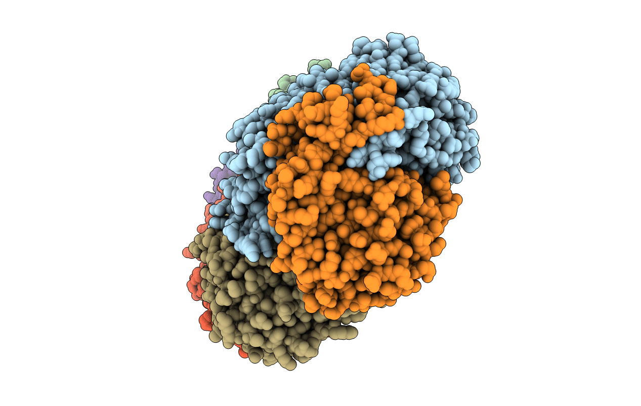 1XVC image