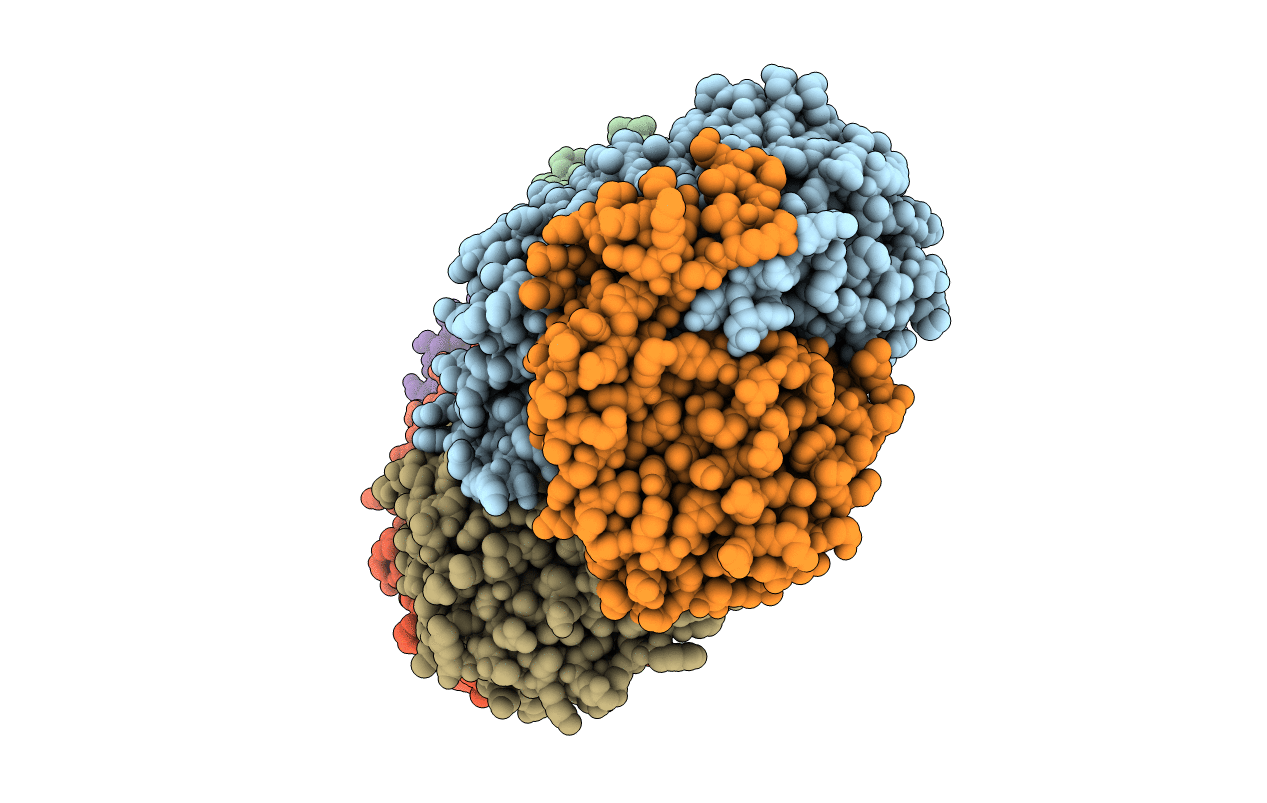 1XVF image