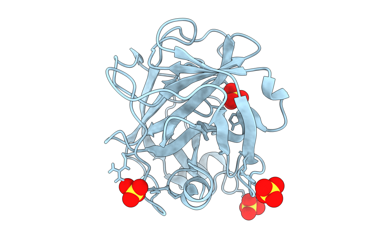 1XVO image