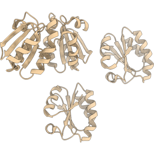 1XW9 image