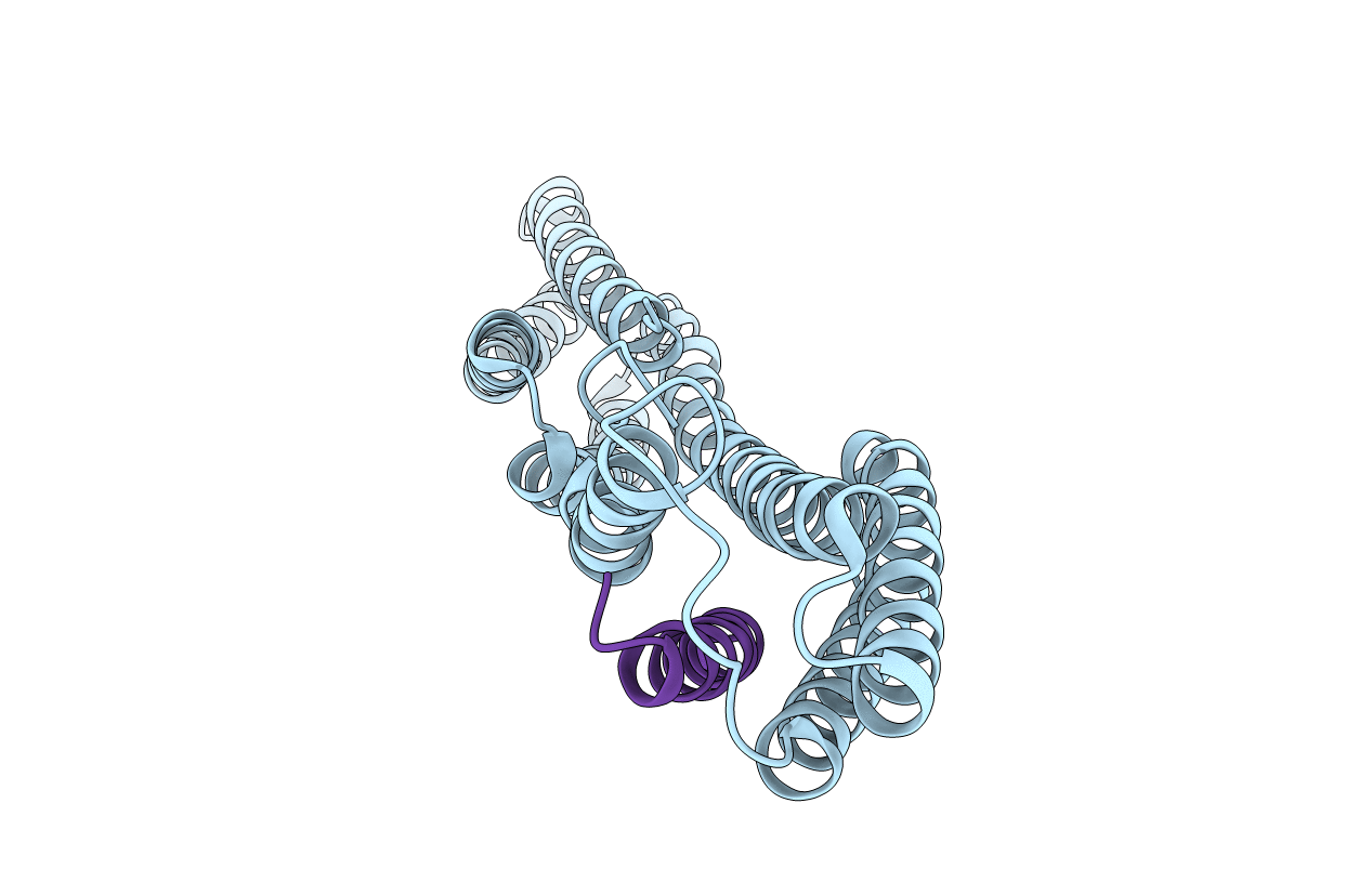 1XWJ image