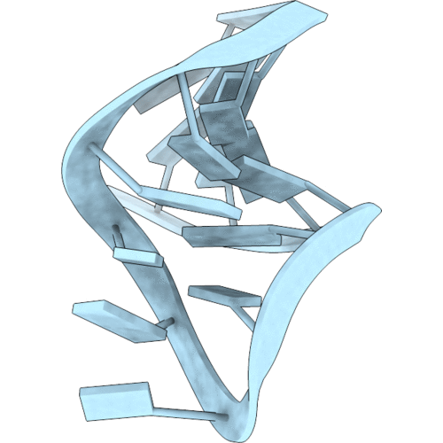 1XWP image