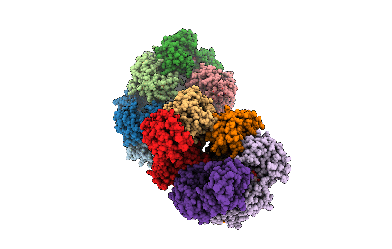 1XXI image